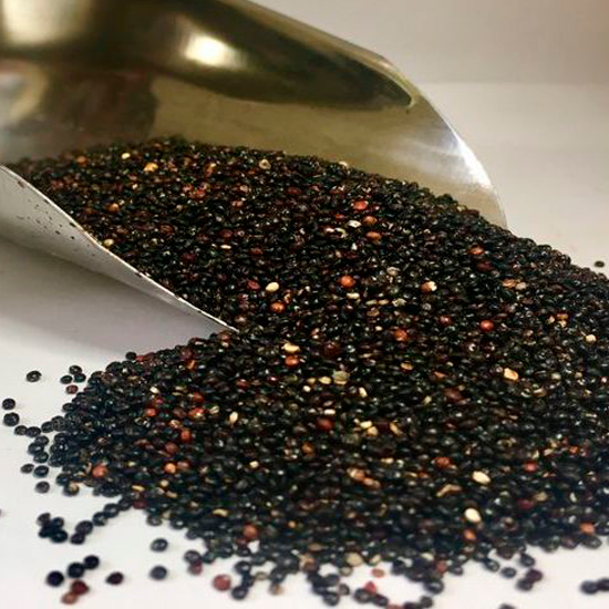 Quinoa negra