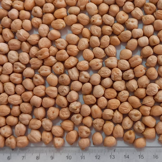 Chickpeas 7 mm