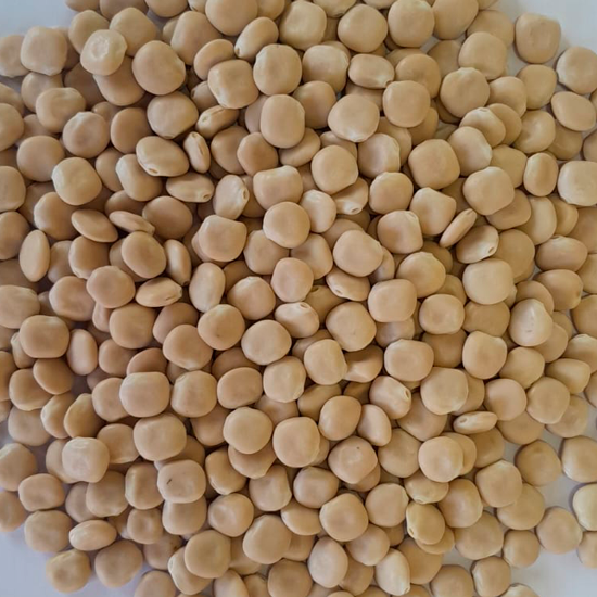 Sweet lupins