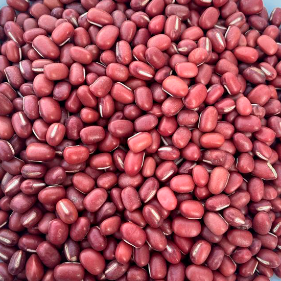 Adzuki bean
